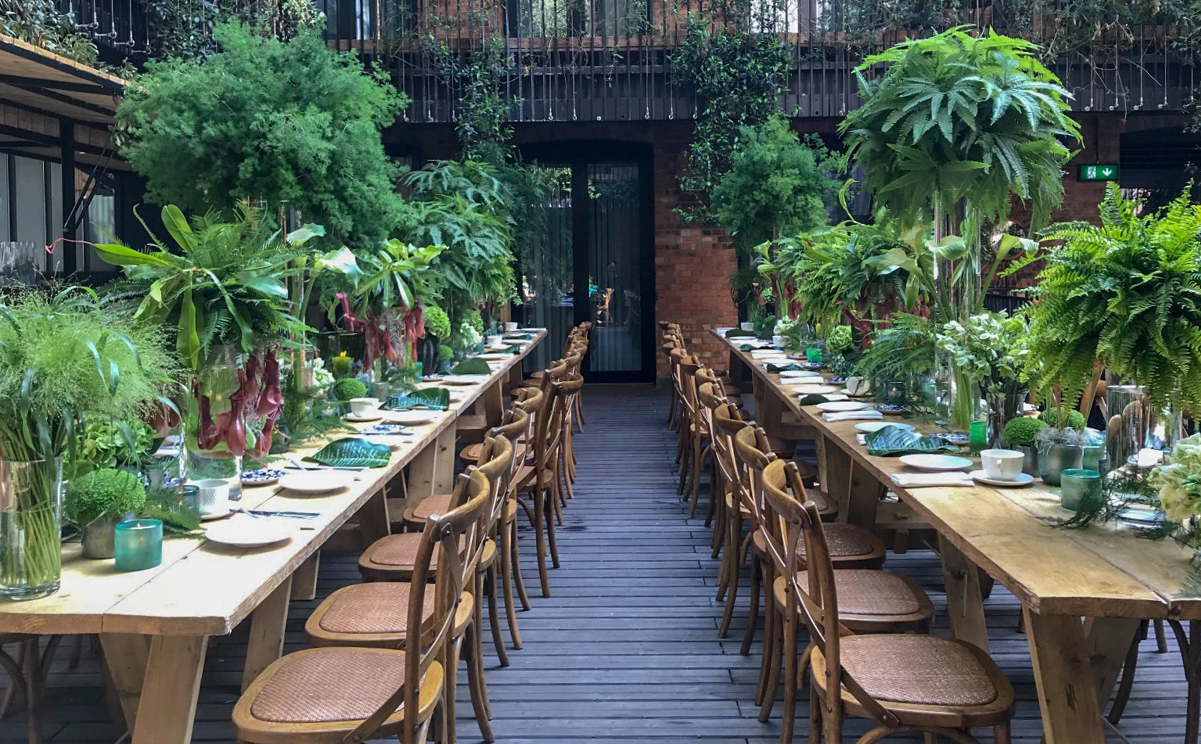 Tropical Brunch