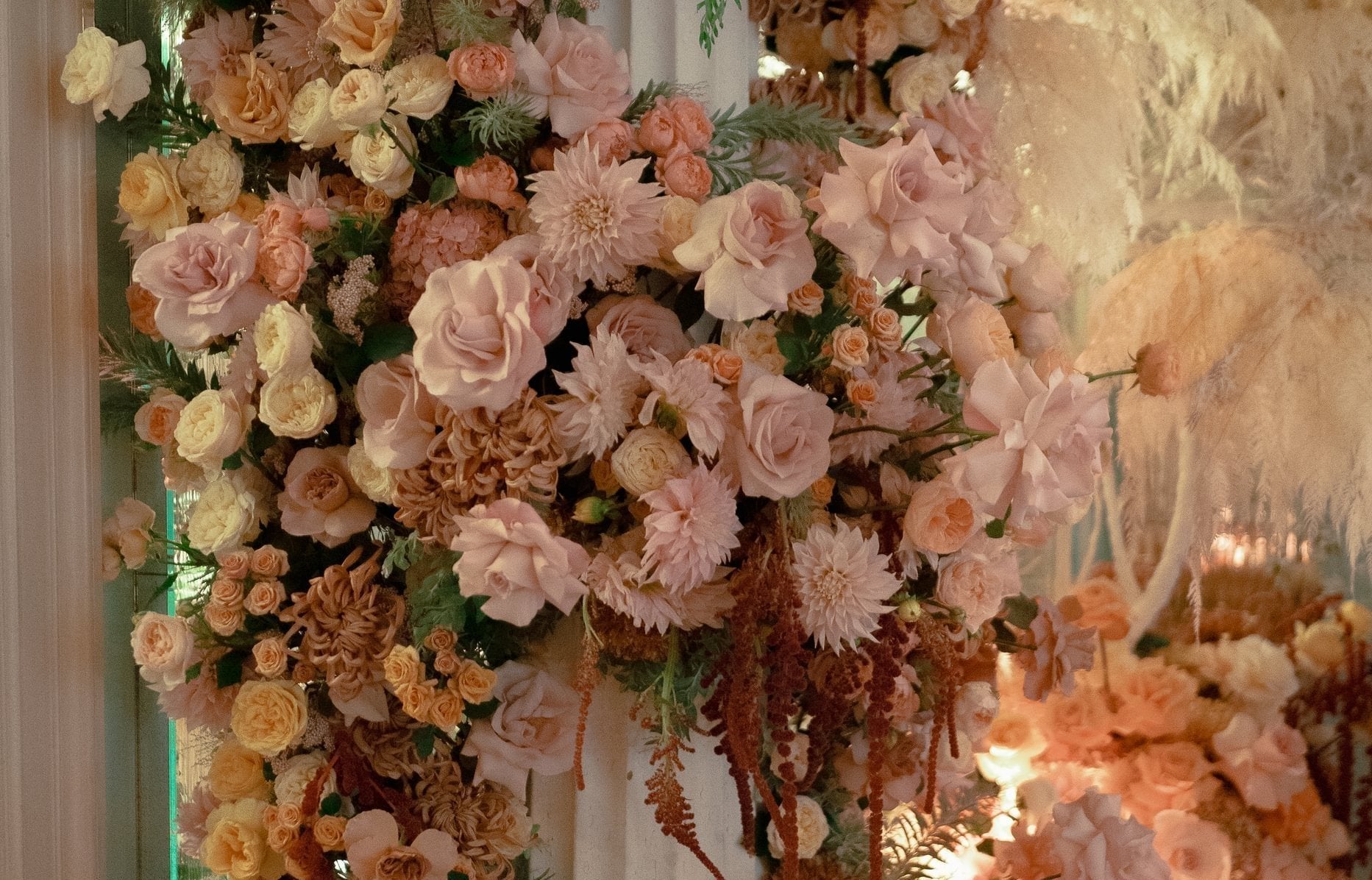 The language of Chrysanthemums