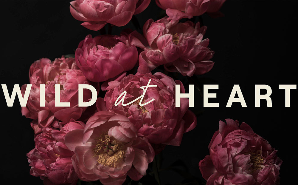 Wild at Heart Rebrand!