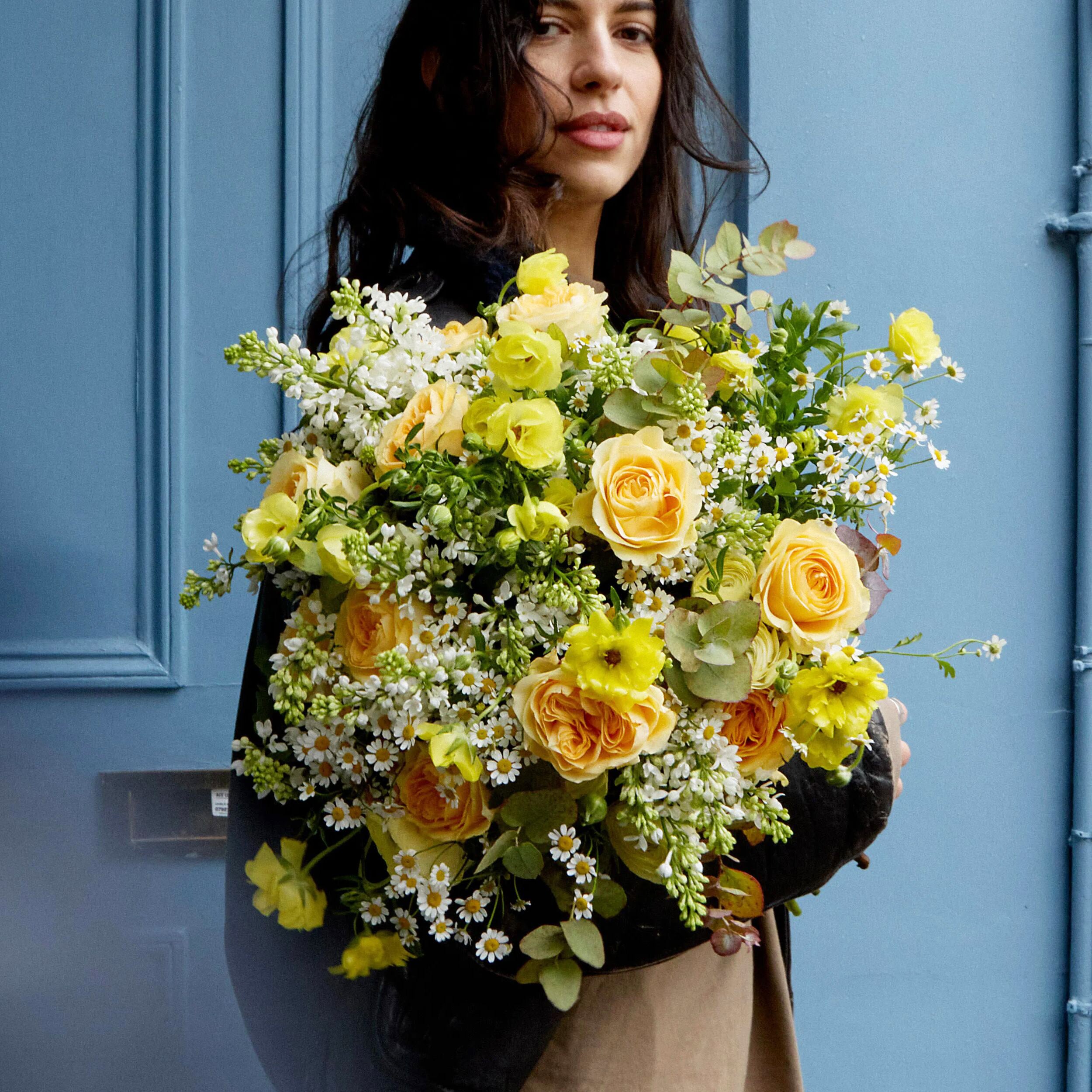 The First Light - Pre-Order