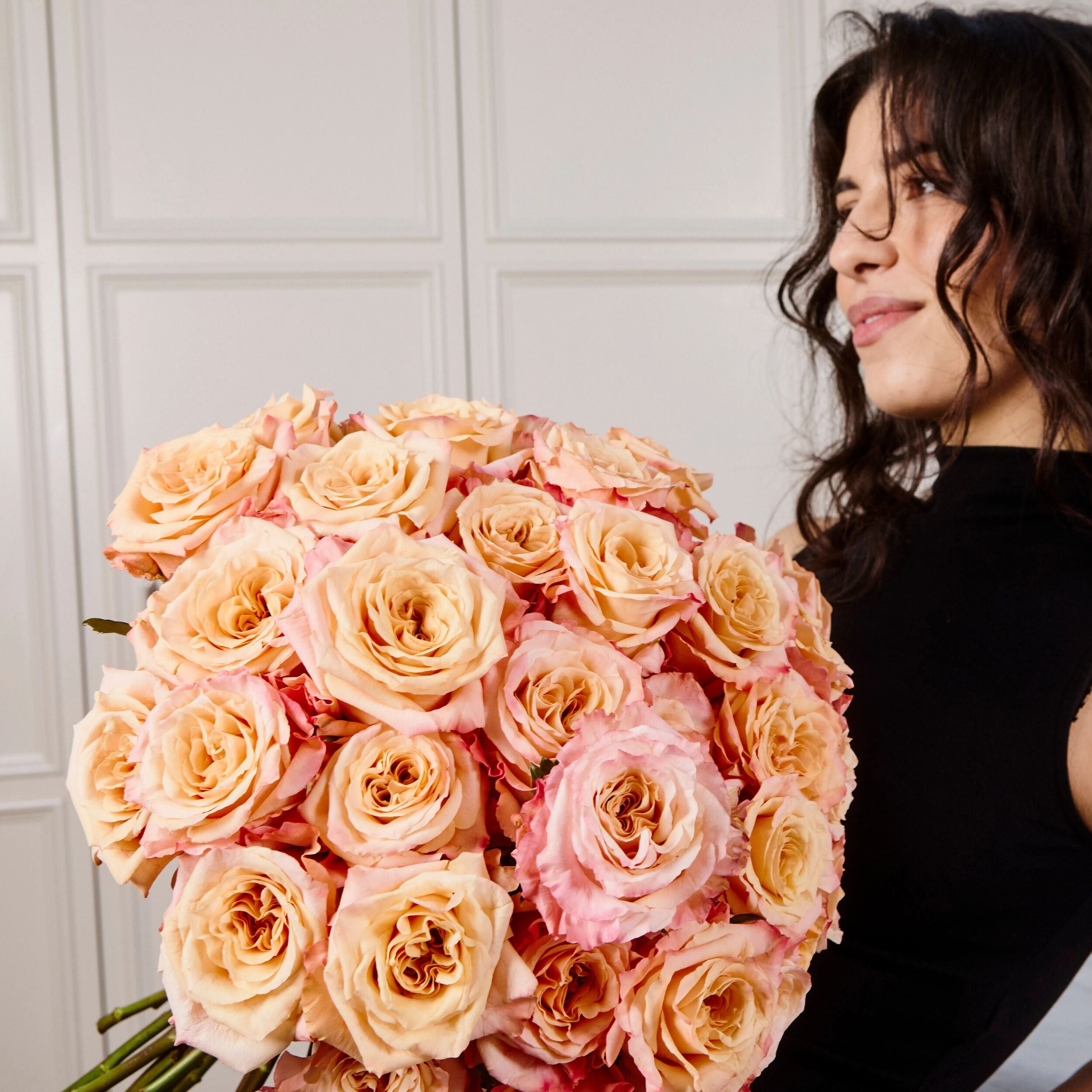 Shimmer Roses