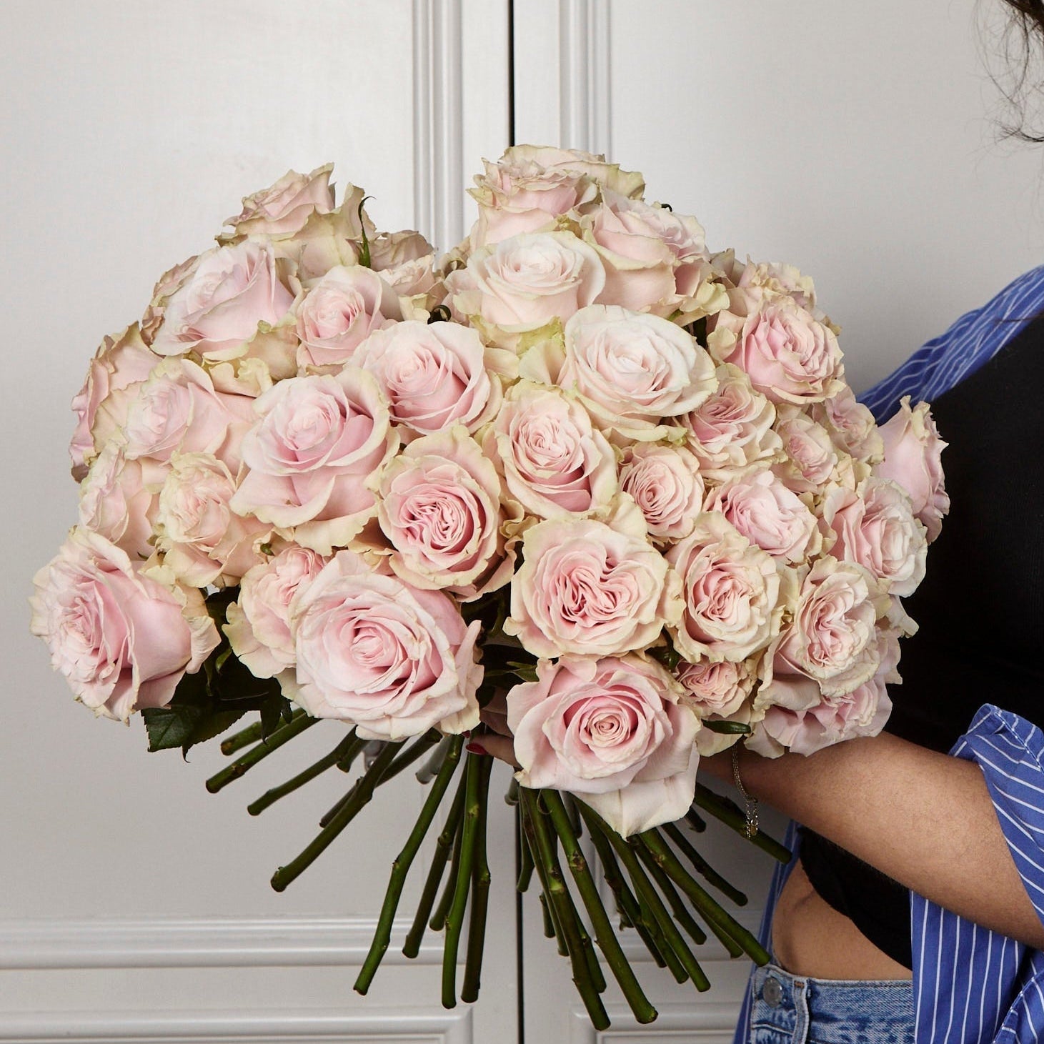 Mondial Roses