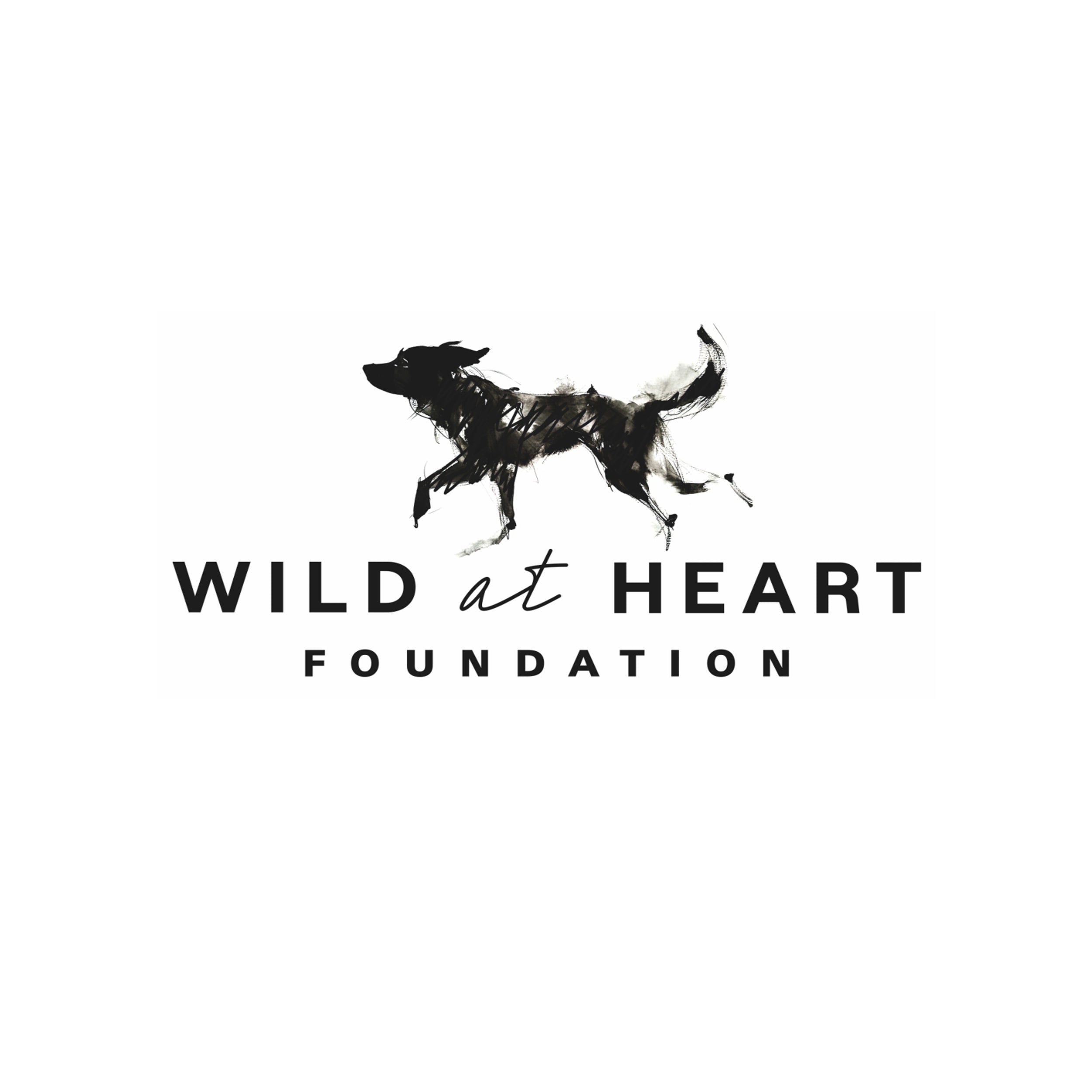 Donate to Wild at Heart Foundation