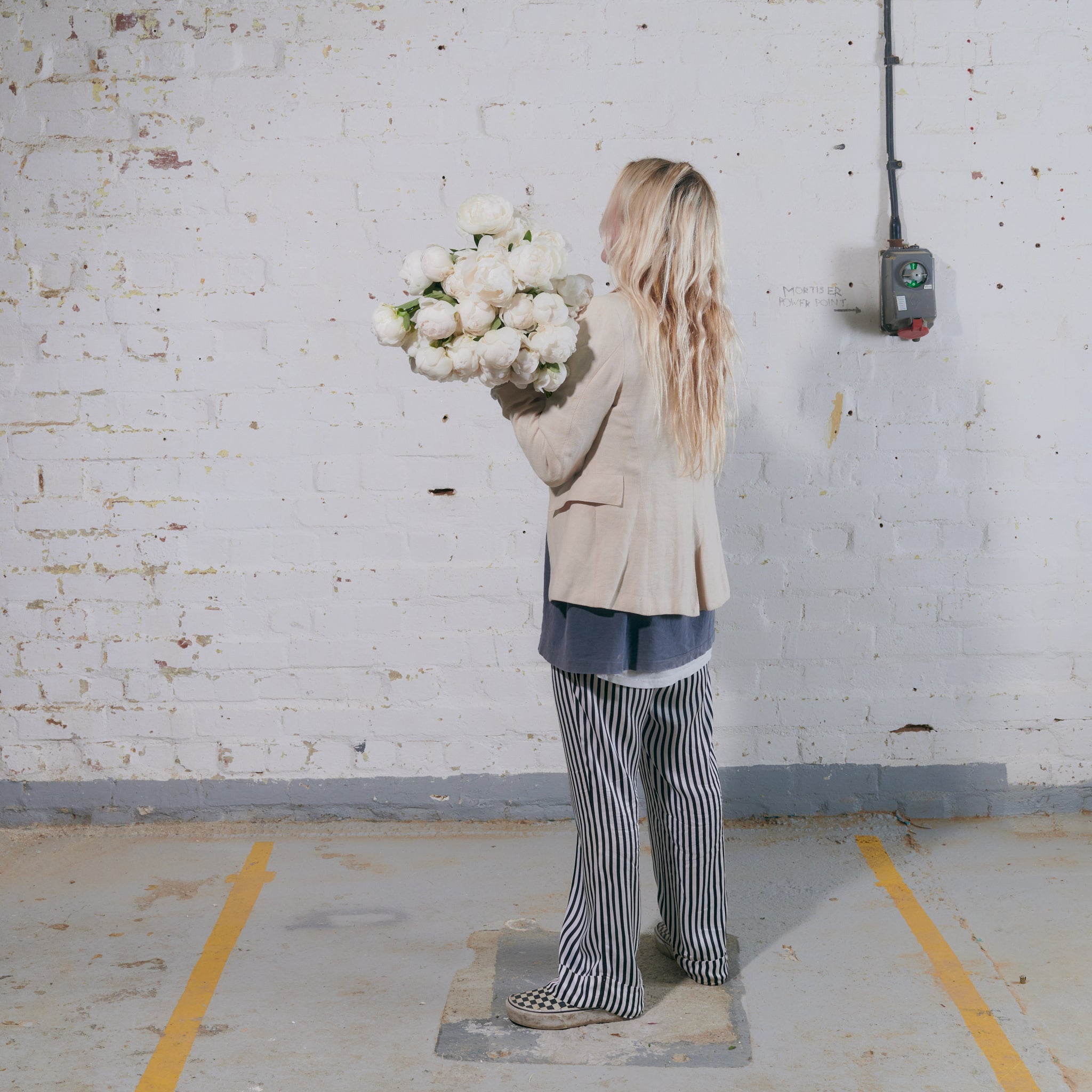 Bowl of Cream Peonies - Single Variety Bouquet - Wild at Heart - Wild at Heart