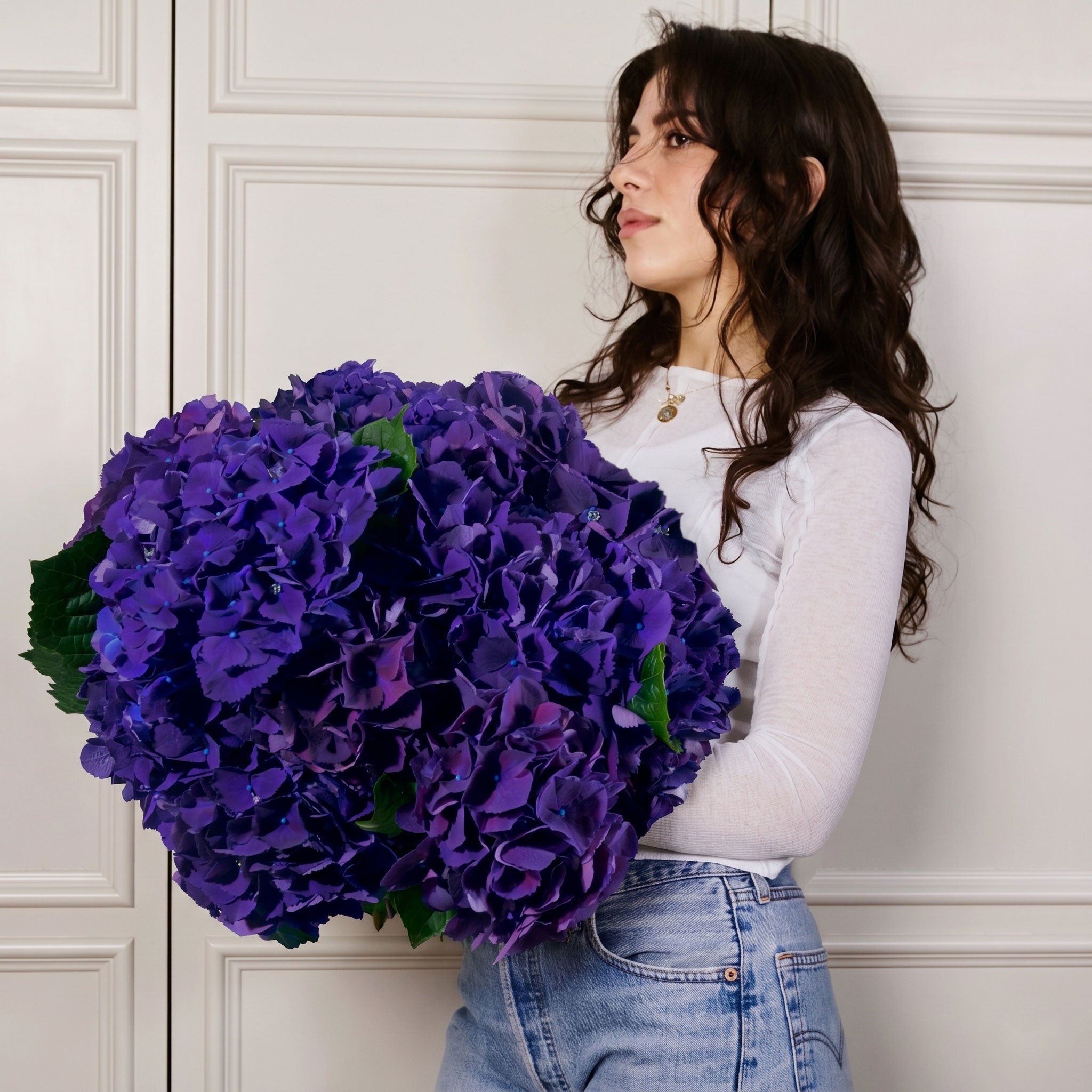 Purple Hydrangeas