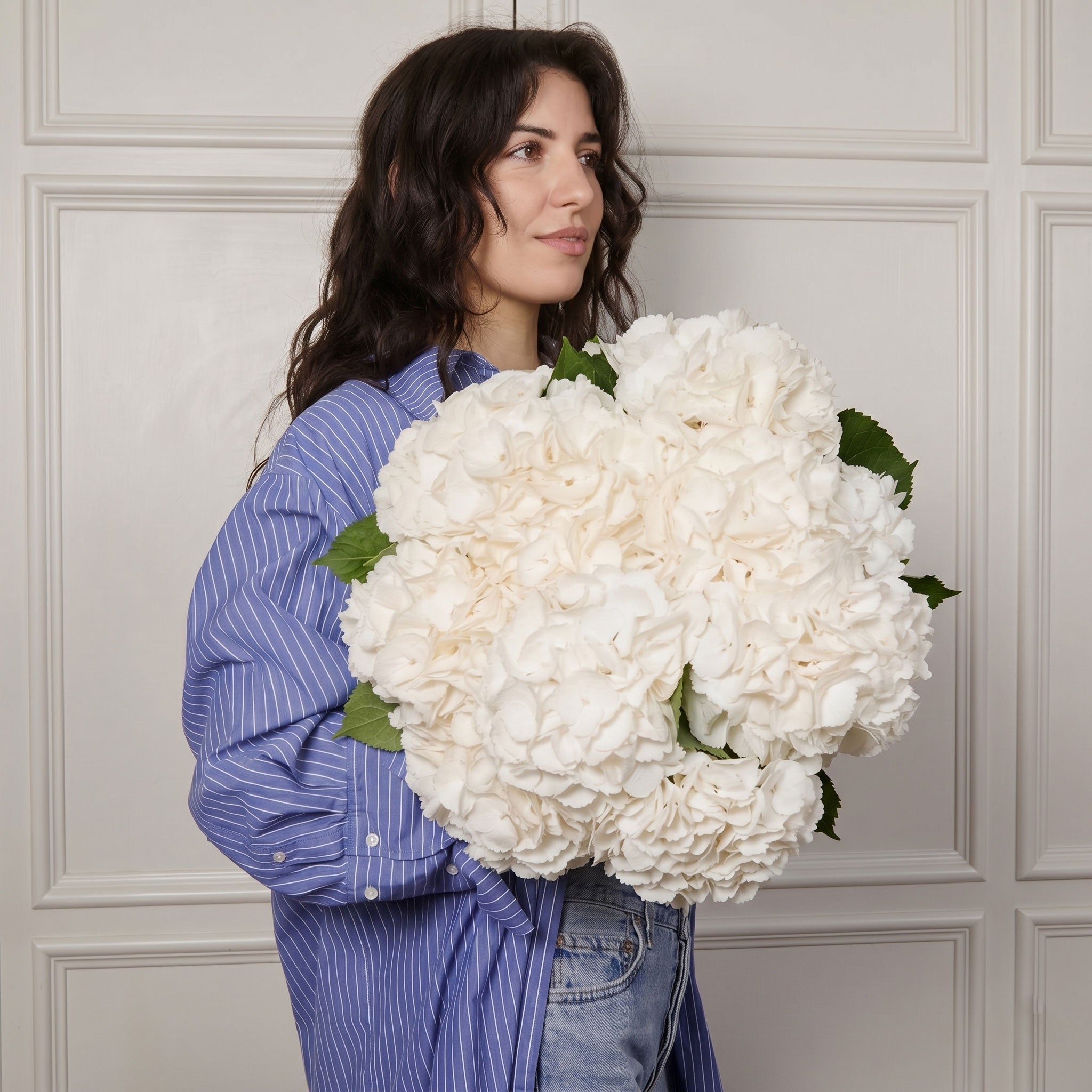 White Hydrangeas