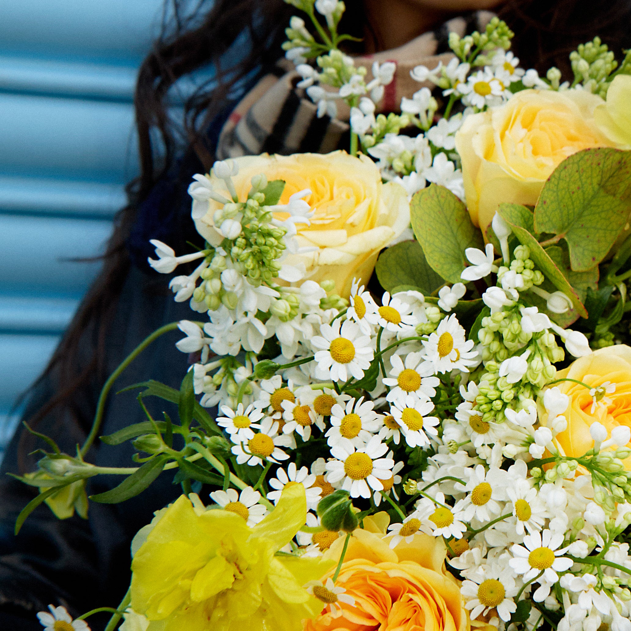 The First Light - Pre-Order