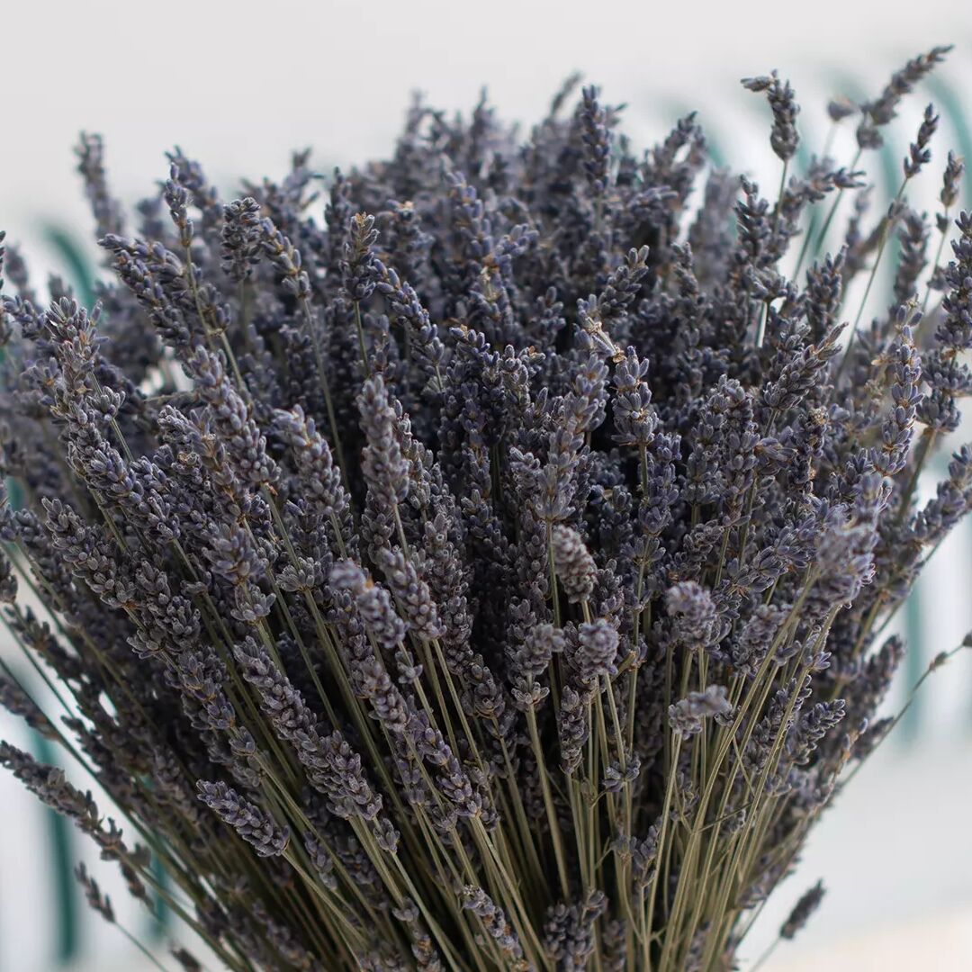 Dried Lavender Bunch