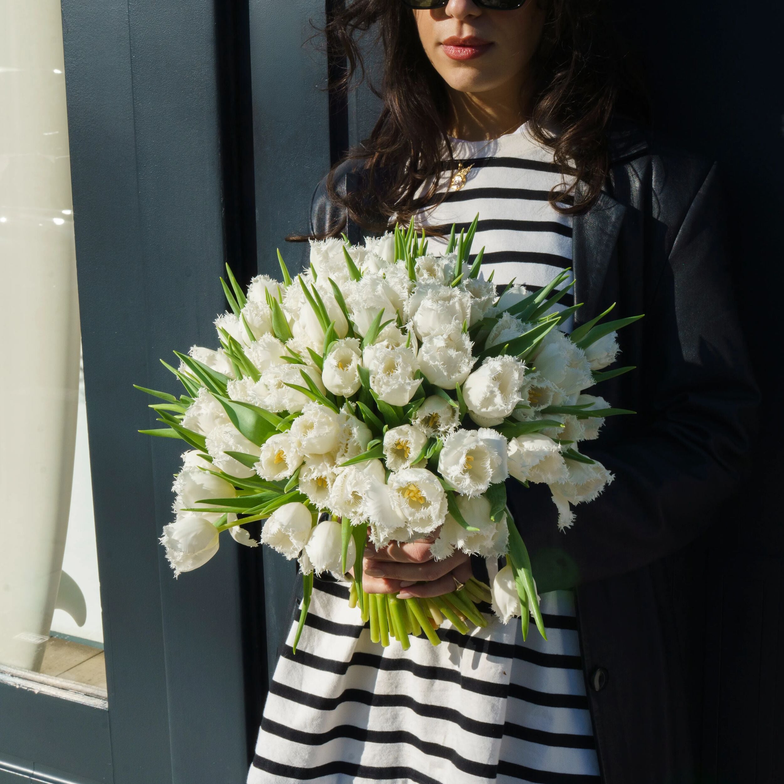 White Fringed Tulips