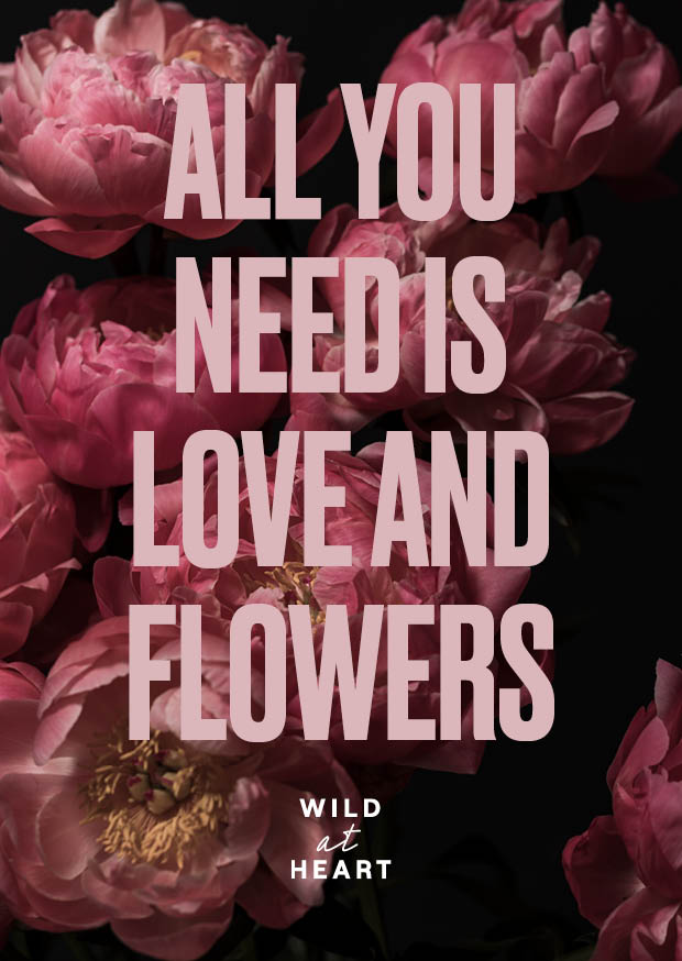 We are all Flowers ~