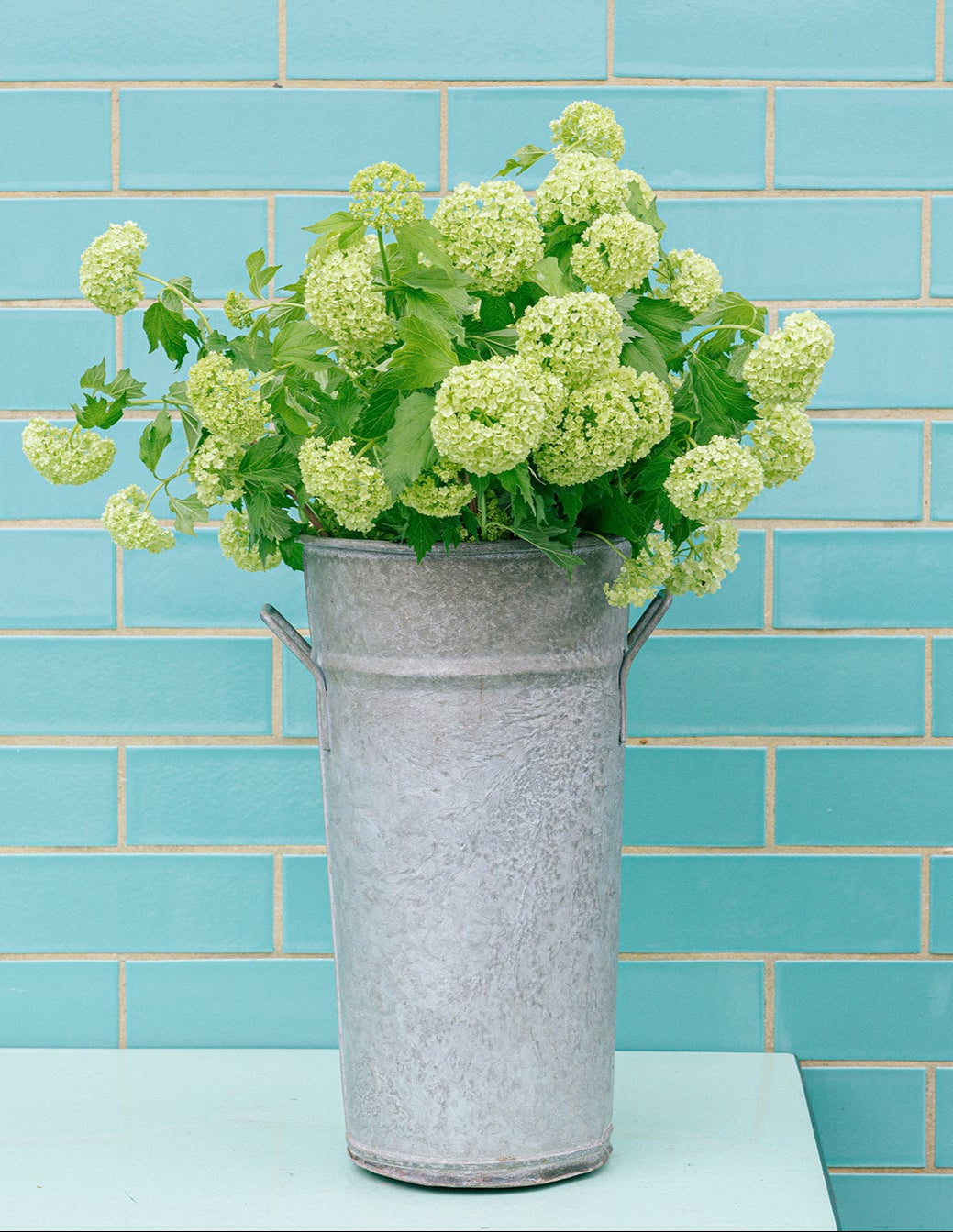 Guelder Rose - Flower Stand - Nikki Tibbles Wild at Heart - Wild at Heart