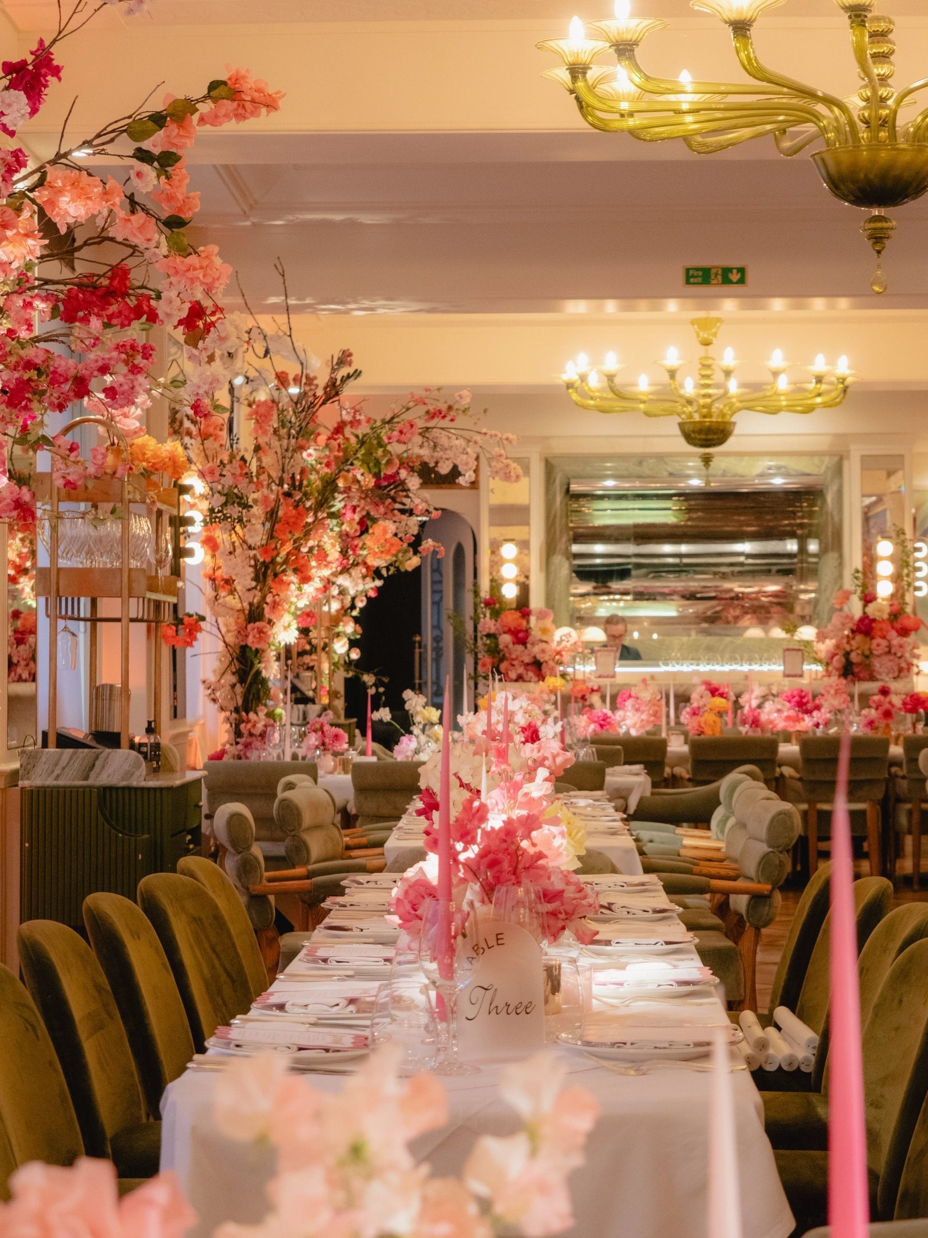 A Bat Mitzvah Bursting with Joy