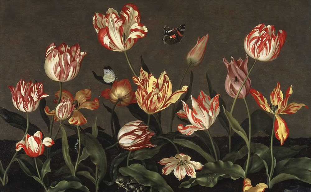 The language of Tulips