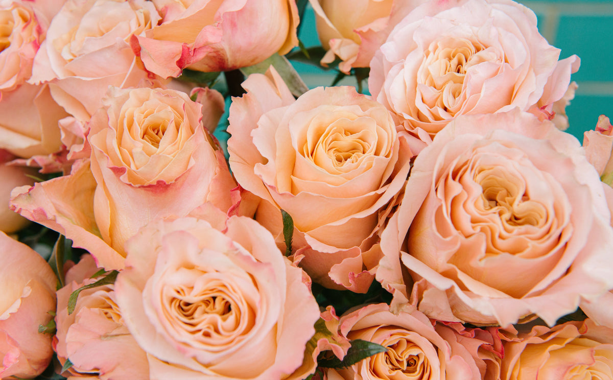 The Language of Roses | Wild at Heart – Symbolism in Wedding Flowers