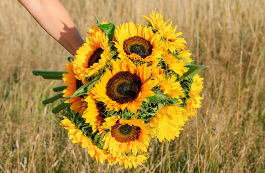 Why we Love: Sunflowers
