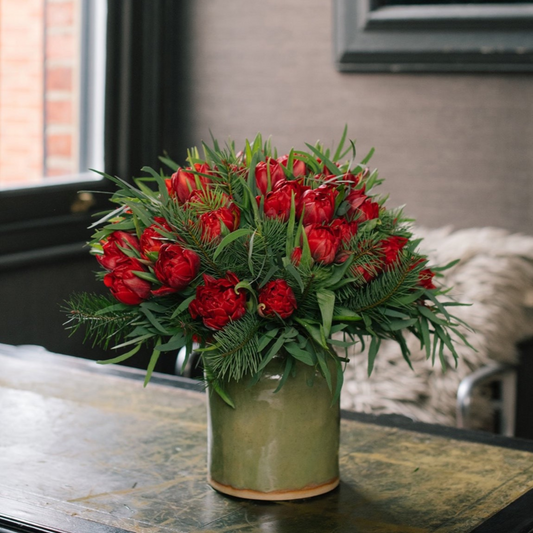 Red Parrot Tulips With Fir