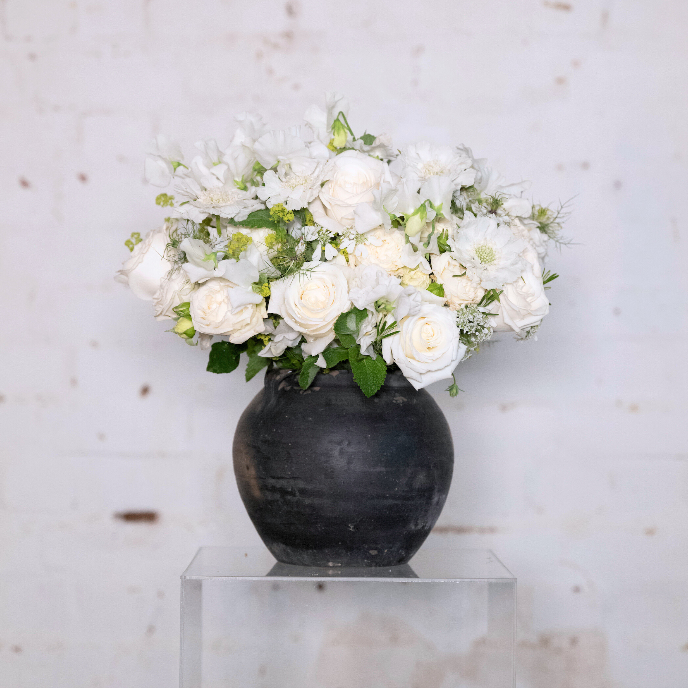 Coconut Candy - Bouquet - Wild at Heart - Wild at Heart