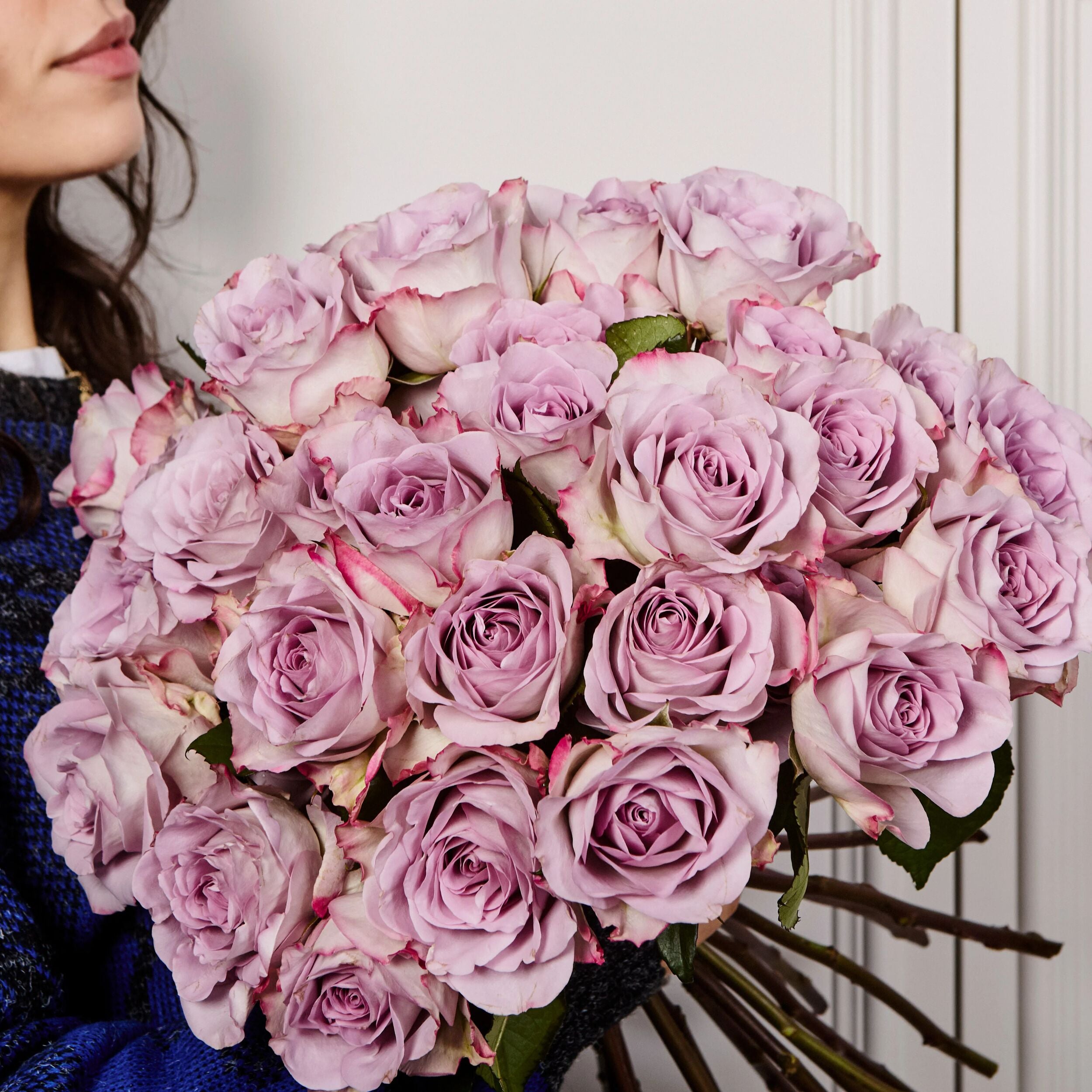 Memory Lane Roses