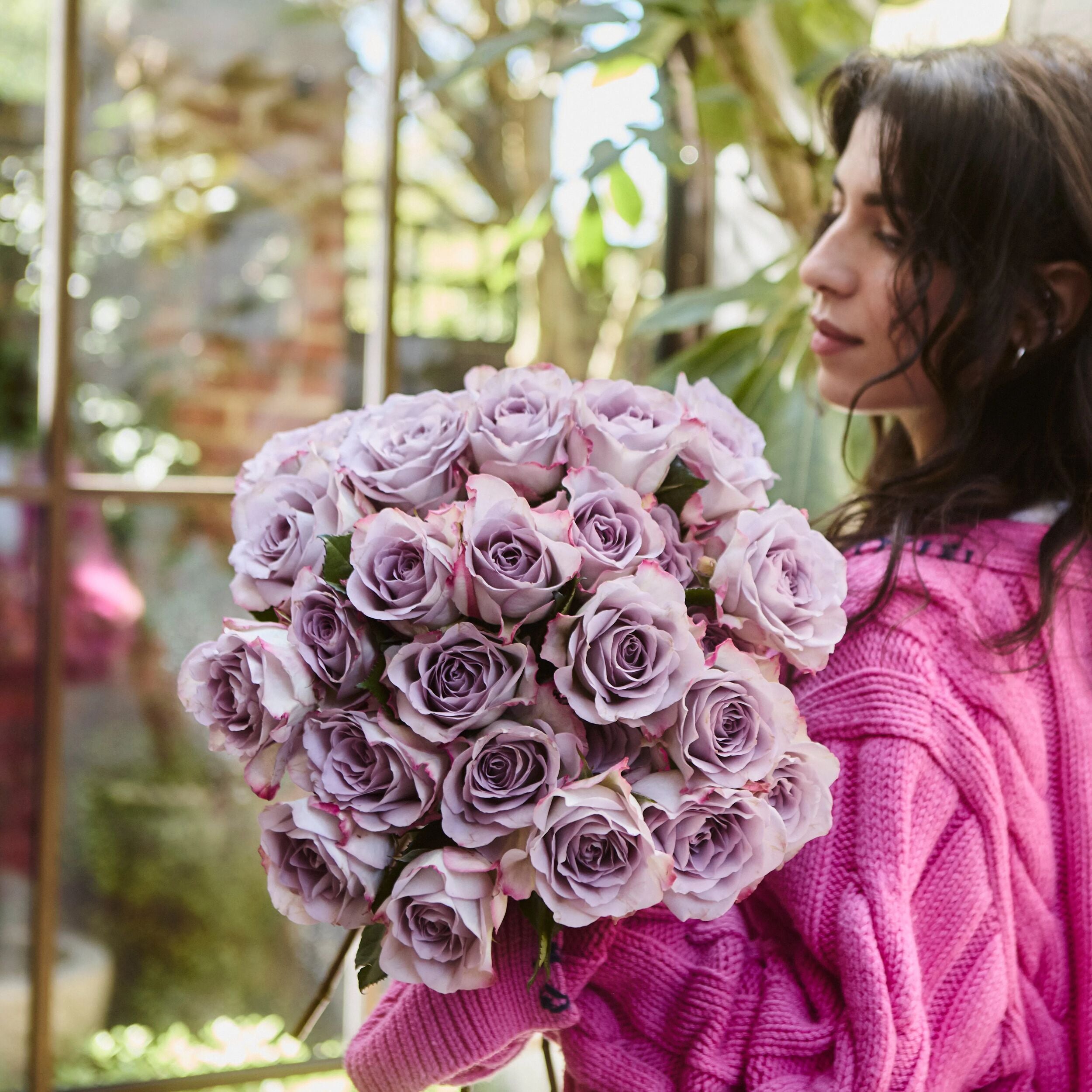 Memory Lane Roses
