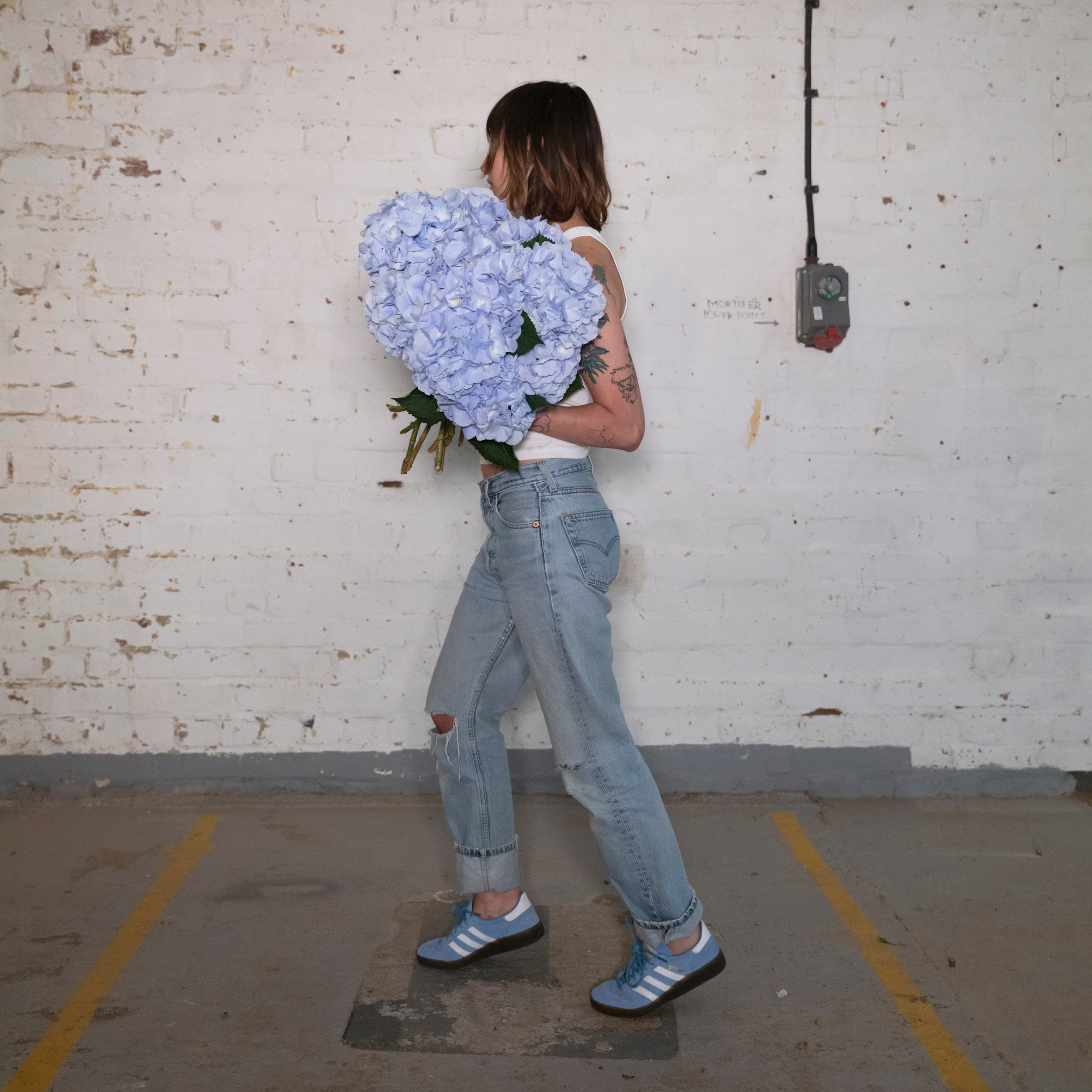 Soft Blue Hydrangeas - Single Variety Bouquet - Wild at Heart - Wild at Heart