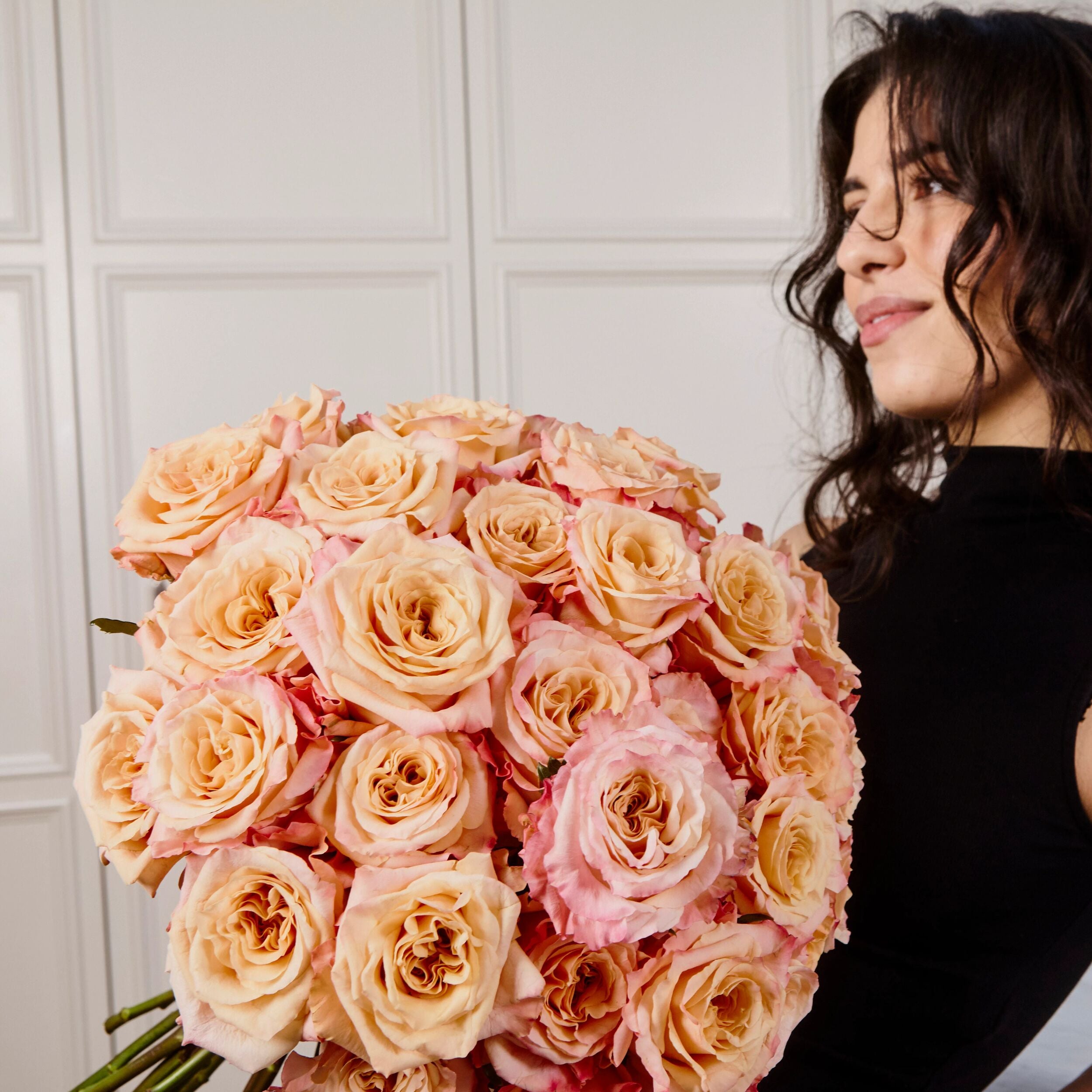 Shimmer Roses