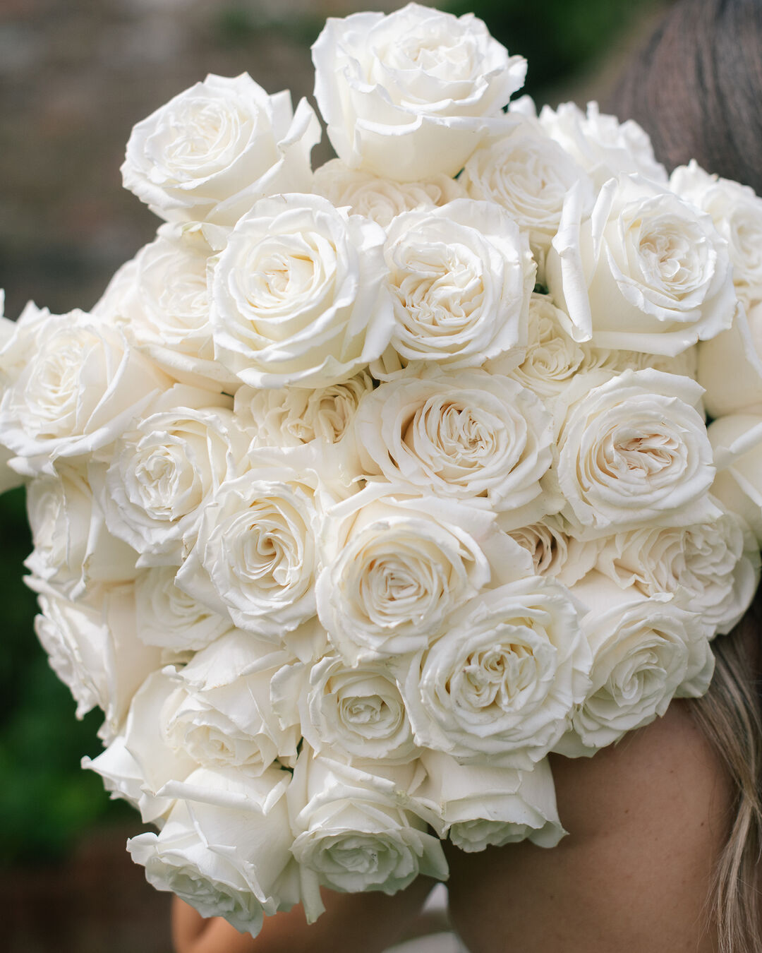 White Roses