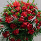 Red Parrot Tulips With Fir