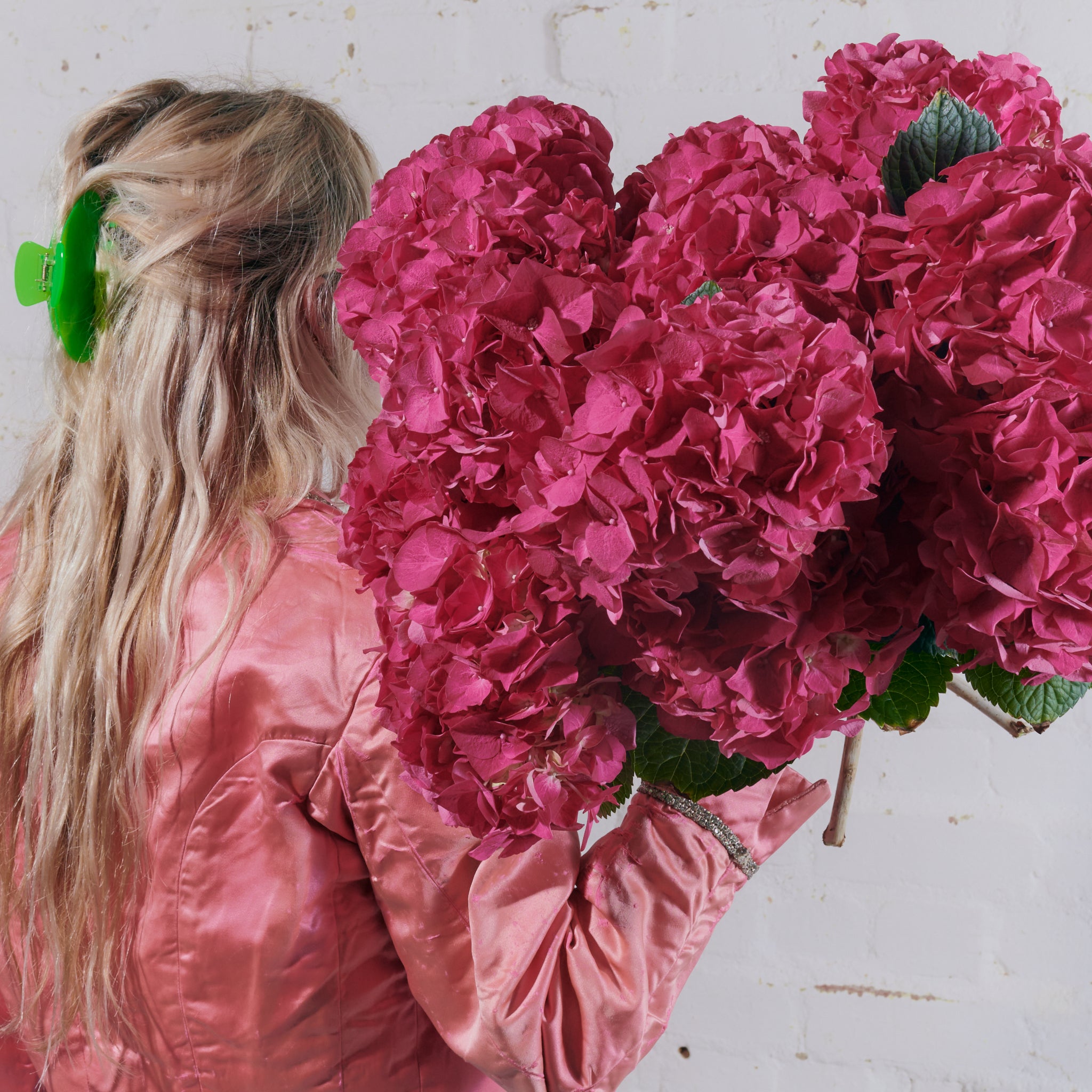 Bright Pink Hydrangeas - Single Variety Bouquet - Wild at Heart - Wild at Heart