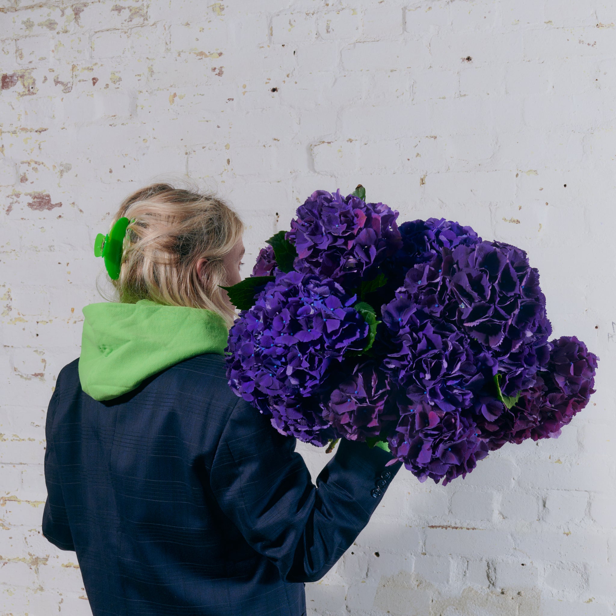 Purple Hydrangeas - Single Variety Bouquet - Wild at Heart - Wild at Heart