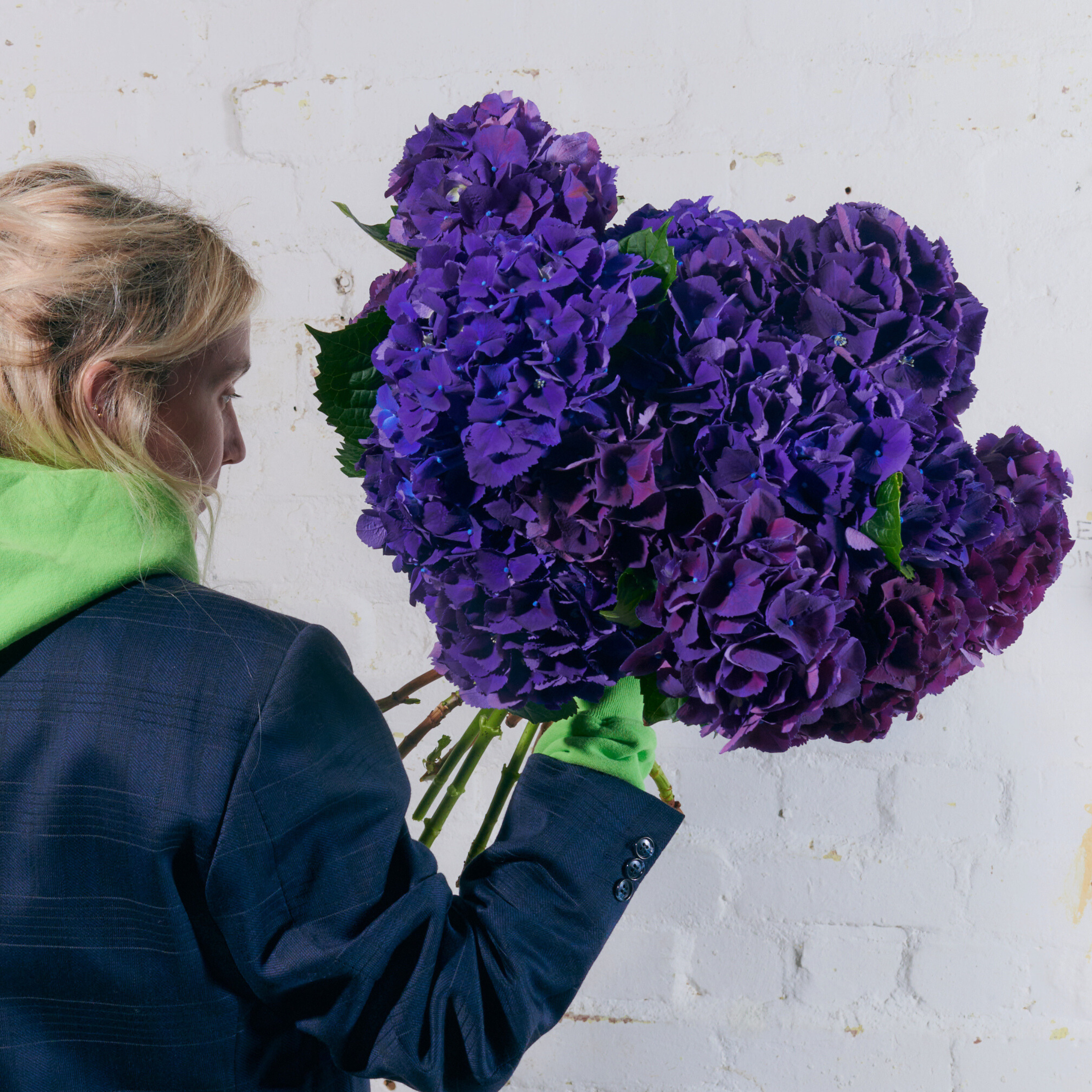 Purple Hydrangeas - Single Variety Bouquet - Wild at Heart - Wild at Heart