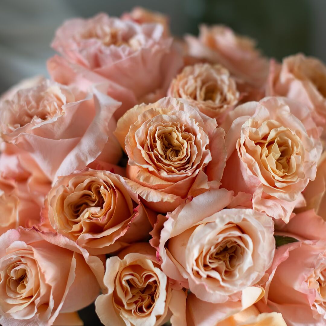 Shimmer Rose Bouquet