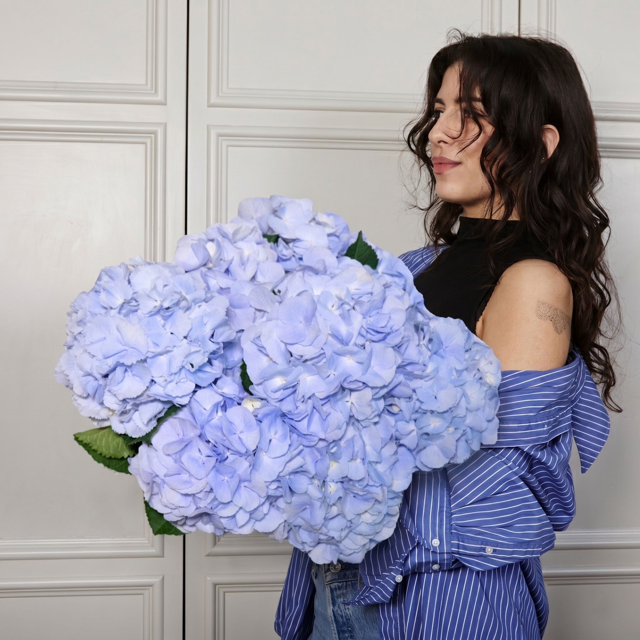 Soft Blue Hydrangeas