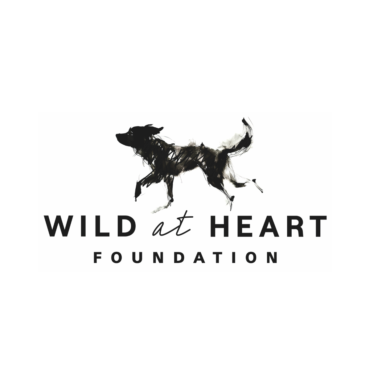 Wild at Heart x Goodwoof