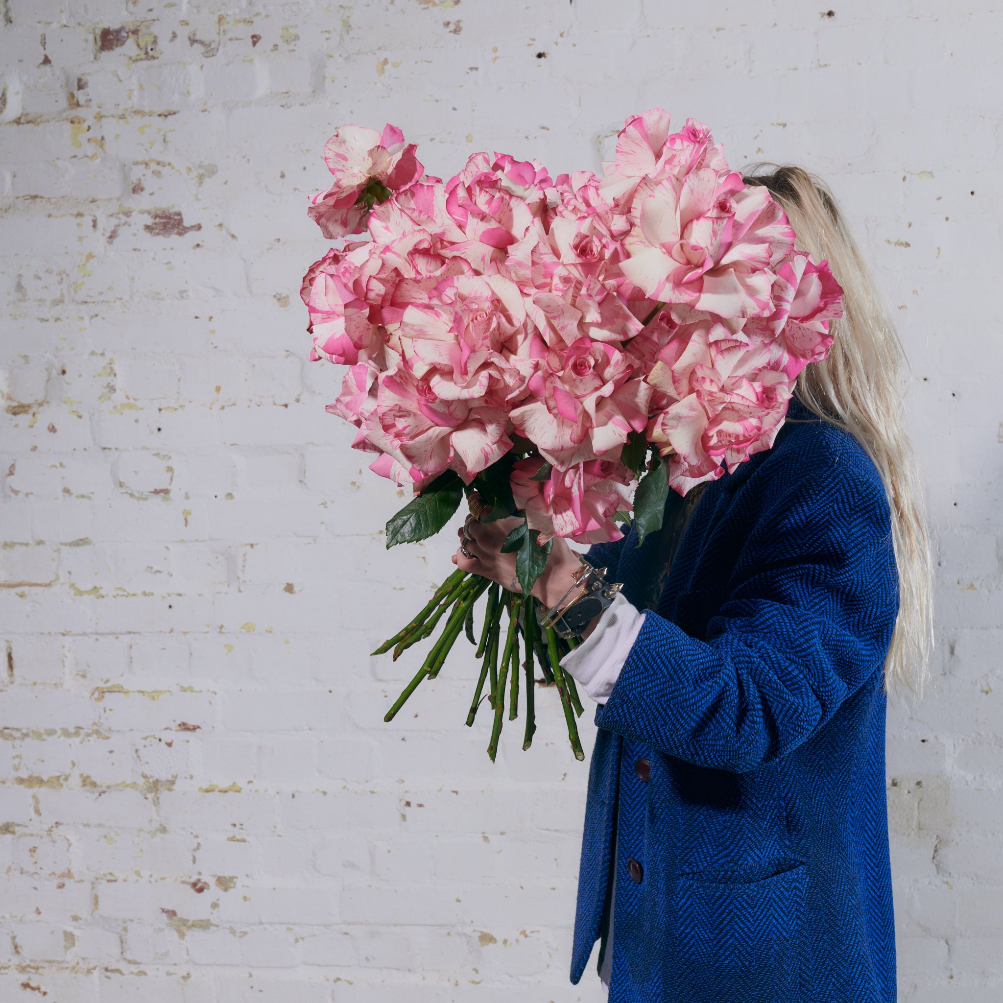 Magic Times Roses - Single Variety Bouquet - Wild at Heart - Wild at Heart