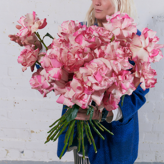 Magic Times Roses - Single Variety Bouquet - Wild at Heart - Wild at Heart