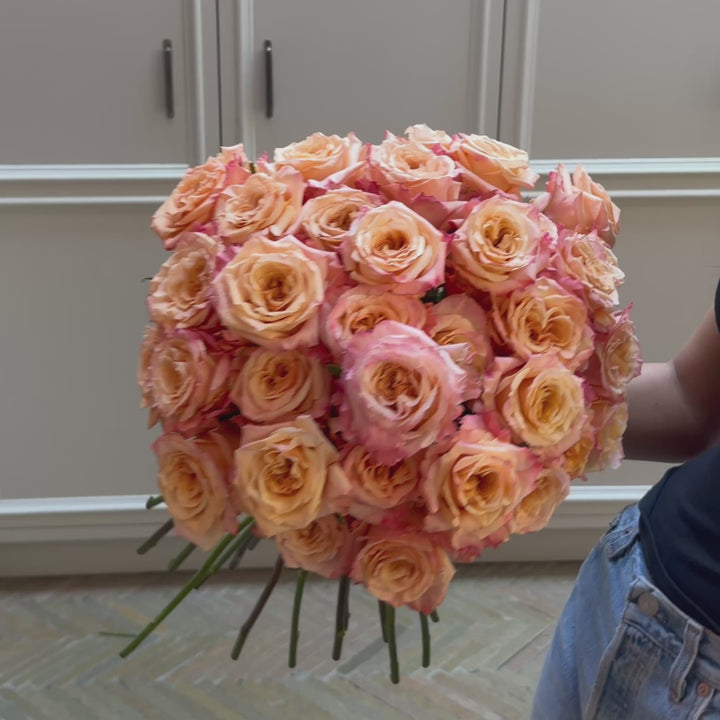 Shimmer Roses
