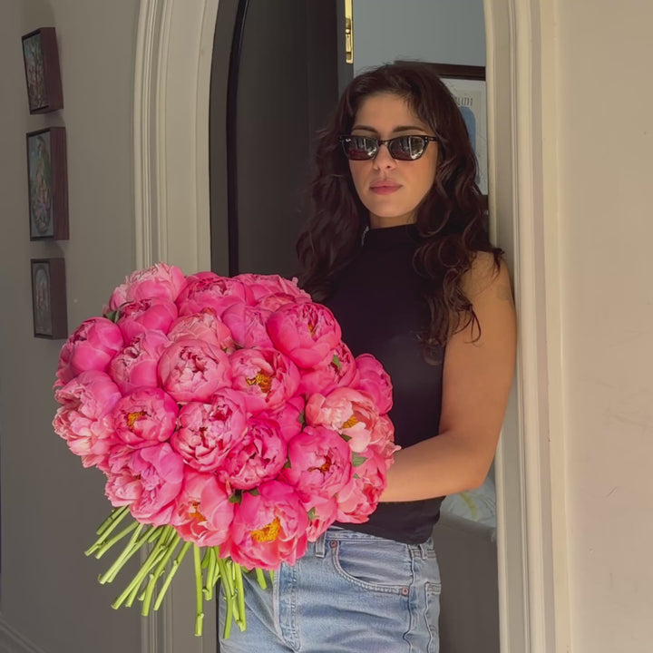 Coral Charm Peonies