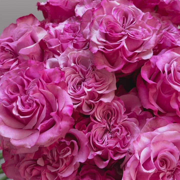 Country Blues Roses