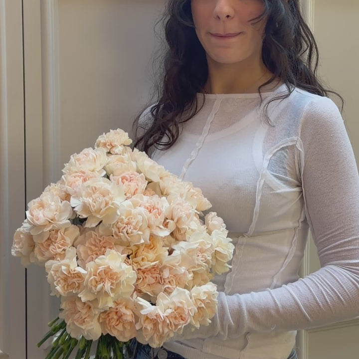 Peach Carnations