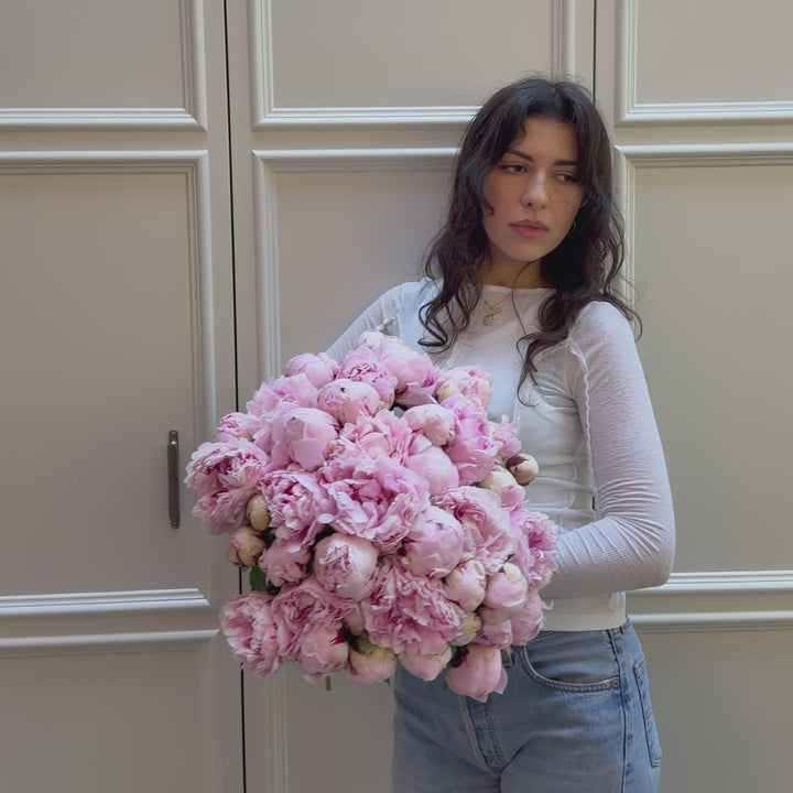 Sarah Bernhardt Peonies