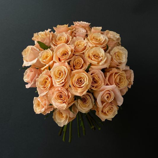 Shimmer Roses - Single Variety Bouquet - Wild at Heart - Wild at Heart