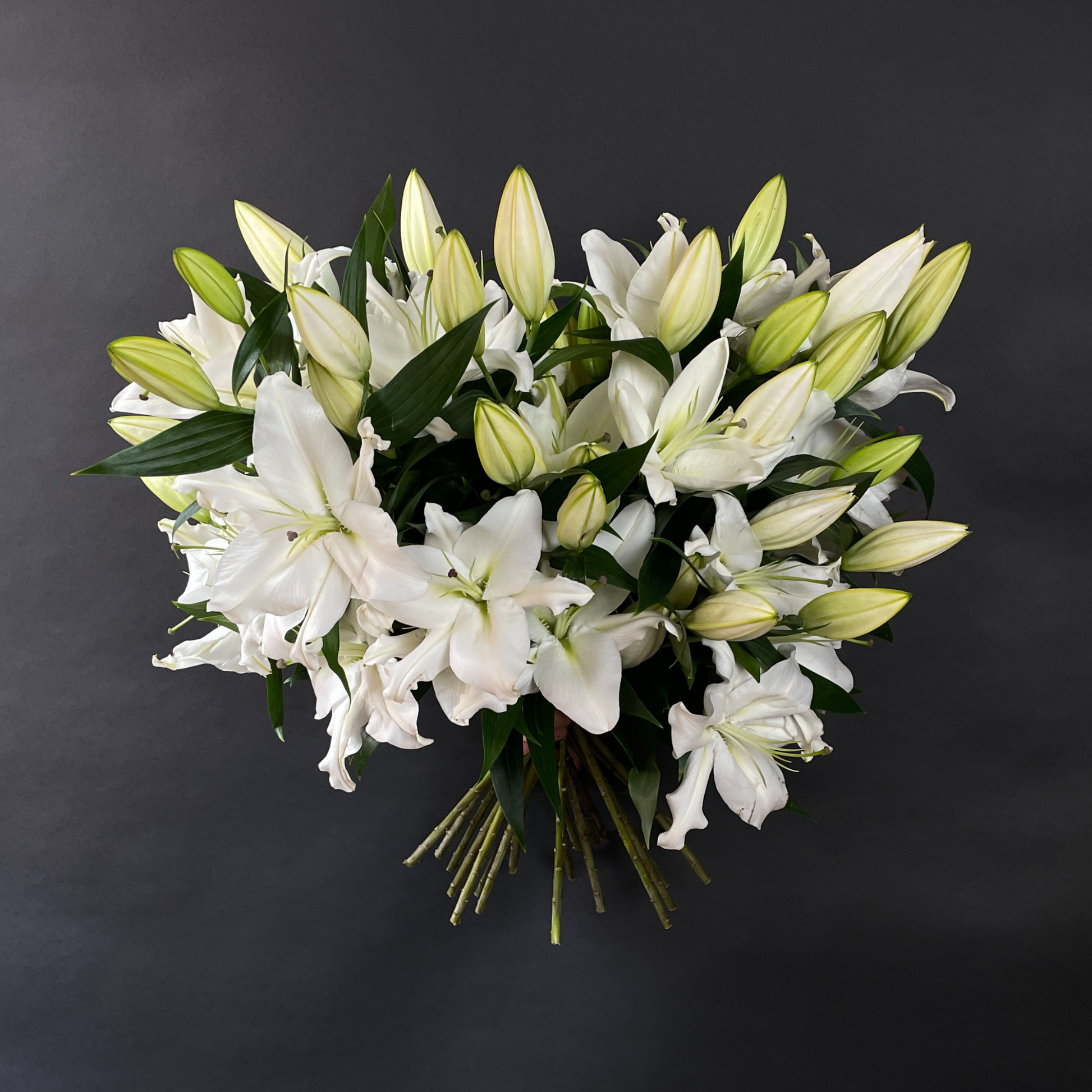 White Lilies - Single Variety Bouquet - Wild at Heart - Wild at Heart