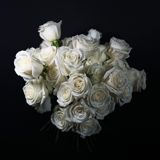 White Roses - Single Variety Bouquet - Wild at Heart - Wild at Heart