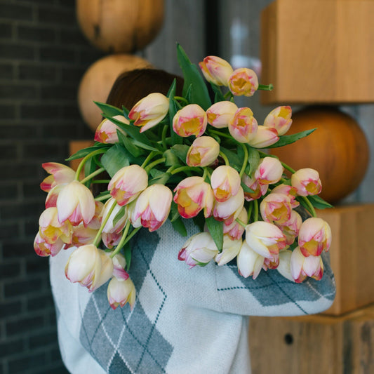 Indulge in the delicate beauty of cream and pink tulips with this stunning bouquet. The soft and romantic colors of the tulips create an atmosphere of elegance and sophistication, sure to impress anyone who receives it.