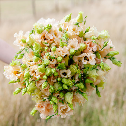 An artfully arranged bouquet of peach-coloured Lisianthus blooms, accented by vibrant green leaves and stems. The delicate petals of the ruffled flowers add a touch of elegance and sophistication to any room.
